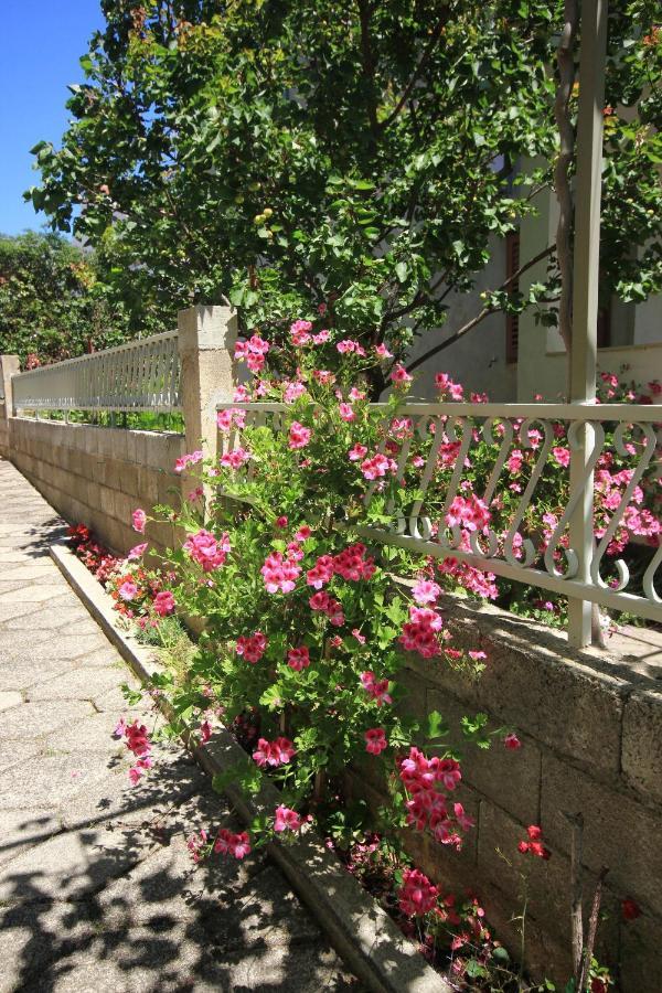 Apartments With A Parking Space Orebic, Peljesac - 10159 المظهر الخارجي الصورة